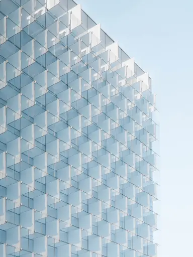 Our Security Divisions